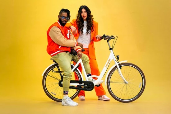 Korting ???? Crown Rio Damesfiets 28 Inch 53cm Gray ???? 9 Korting ???? Crown Rio Damesfiets 28 Inch 53cm Gray ???? - Afbeelding 7