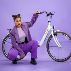 Korting ???? Crown Rio Damesfiets 28 Inch 53cm Gray ???? 23 Korting ???? Crown Rio Damesfiets 28 Inch 53cm Gray ???? -bike shop 550x366 91