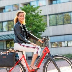 Promo ✨ New Looxs Forest Tendo Laptop Fietstas 21 Liter Rood ???? 31 Promo ✨ New Looxs Forest Tendo Laptop Fietstas 21 Liter Rood ???? -bike shop 550x367 21