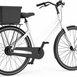 Beste recensies van ???? The Basky Company The Basky Basket - Fietsmand En Winkelmand In N - Geen Sticker - Sustainable ???? -bike shop 550x403 1