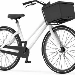 Beste recensies van ???? The Basky Company The Basky Basket - Fietsmand En Winkelmand In N - Geen Sticker - Sustainable ???? -bike shop 550x411 4